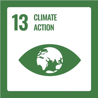United Nations sustainable development goal